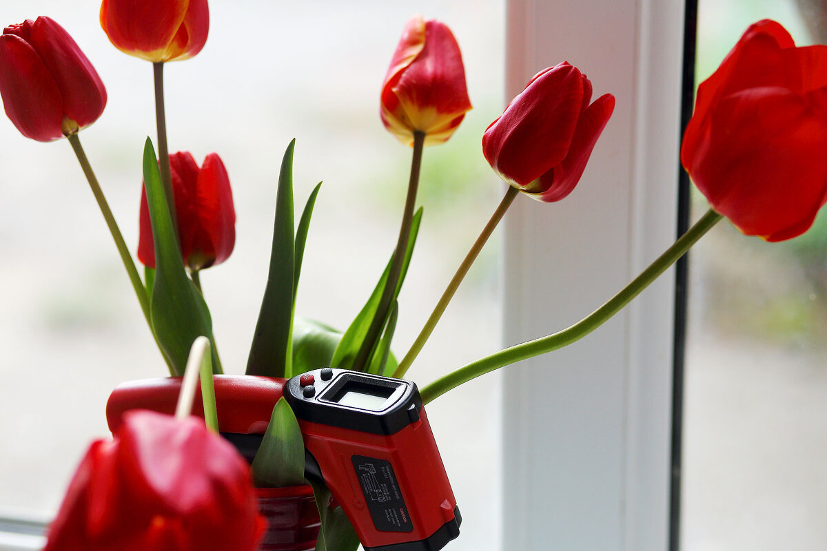 В красных тонах - Юрий Гайворонскiий