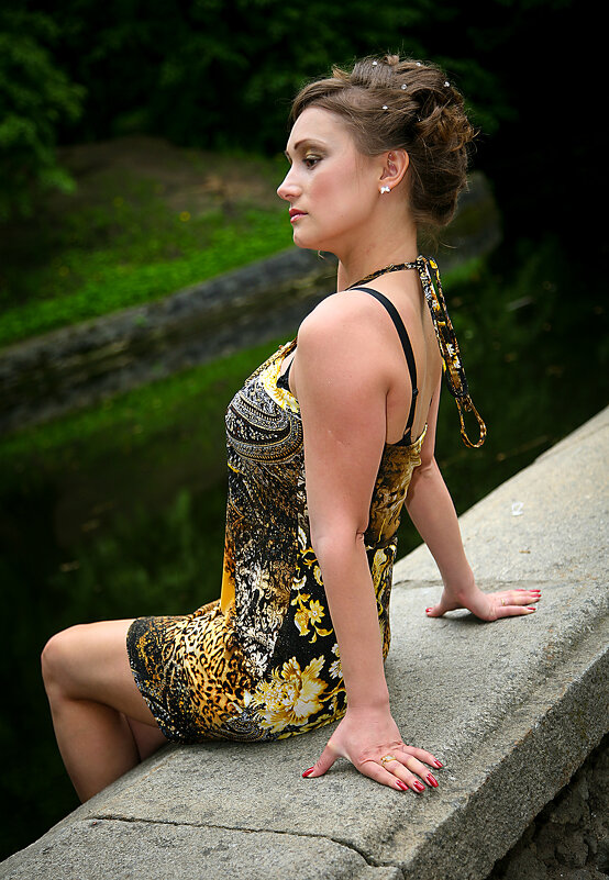 МЕЧТЫ О ЛЕТЕ. - Александр Дмитриев