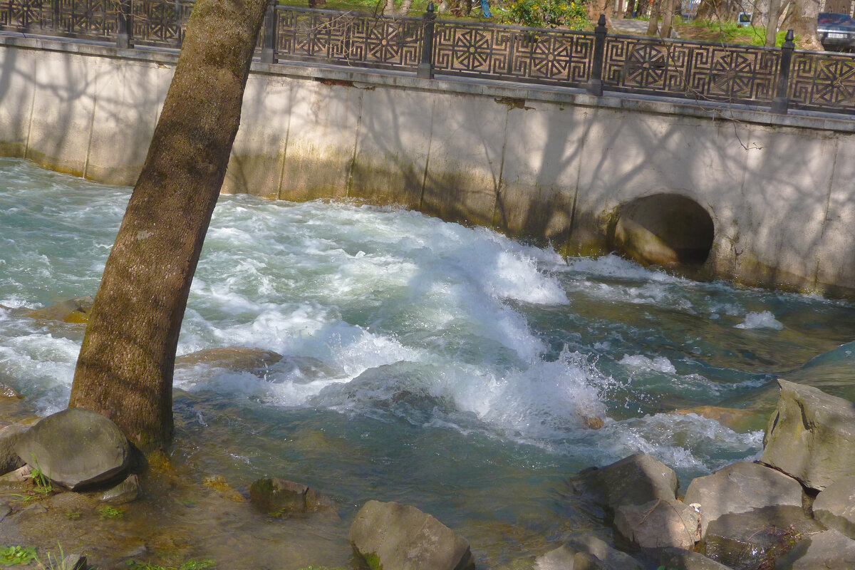 Вешнние   воды  шумят - Валентин Семчишин