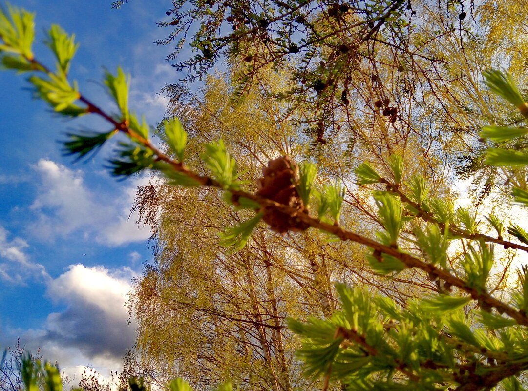 Весна - Сергей Кочнев