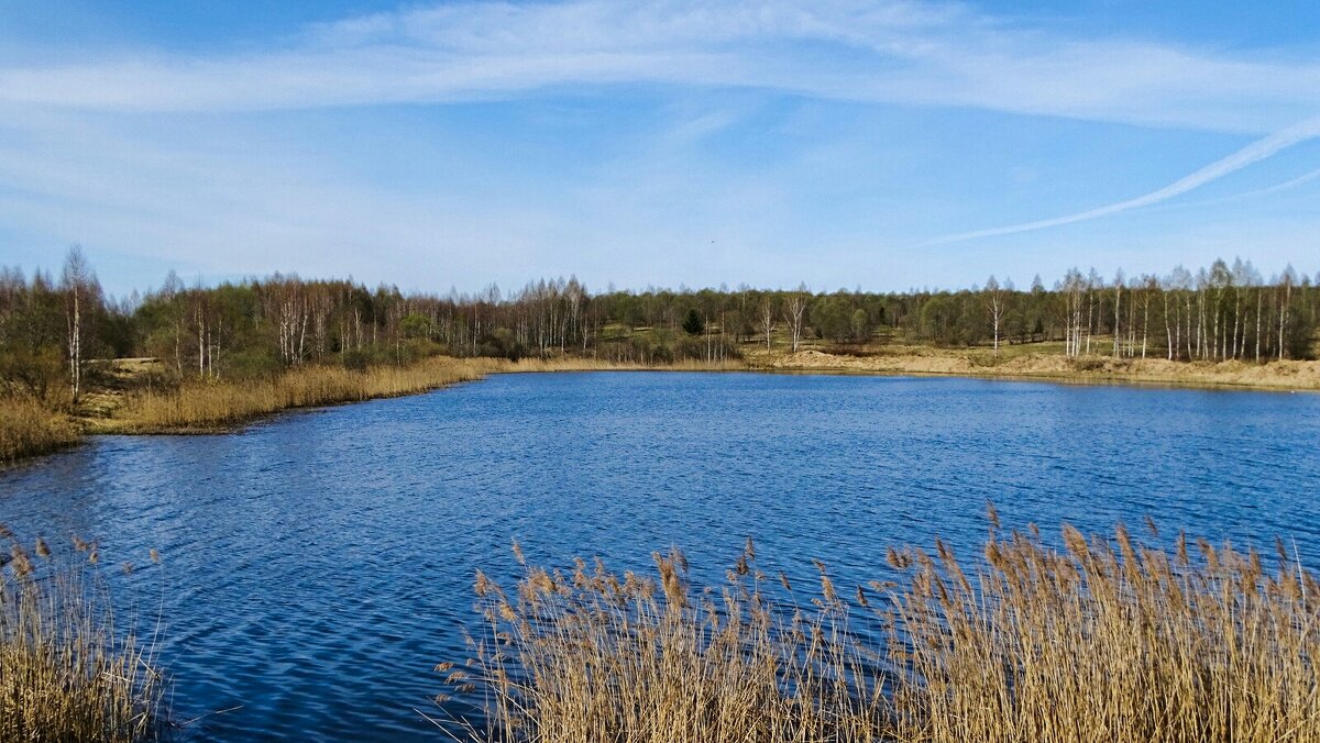 Озёра Смоленщины. - Милешкин Владимир Алексеевич 