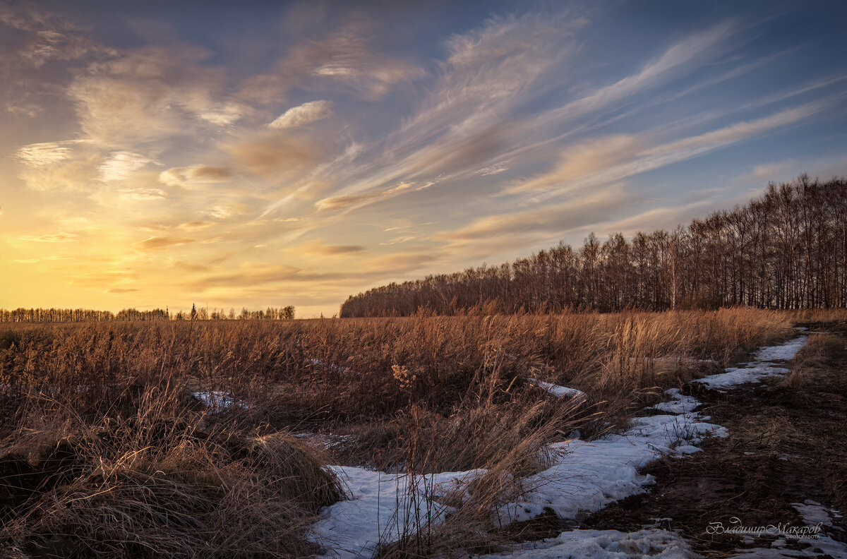 "Заросшее поле. Апрельским вечером"© - Владимир Макаров