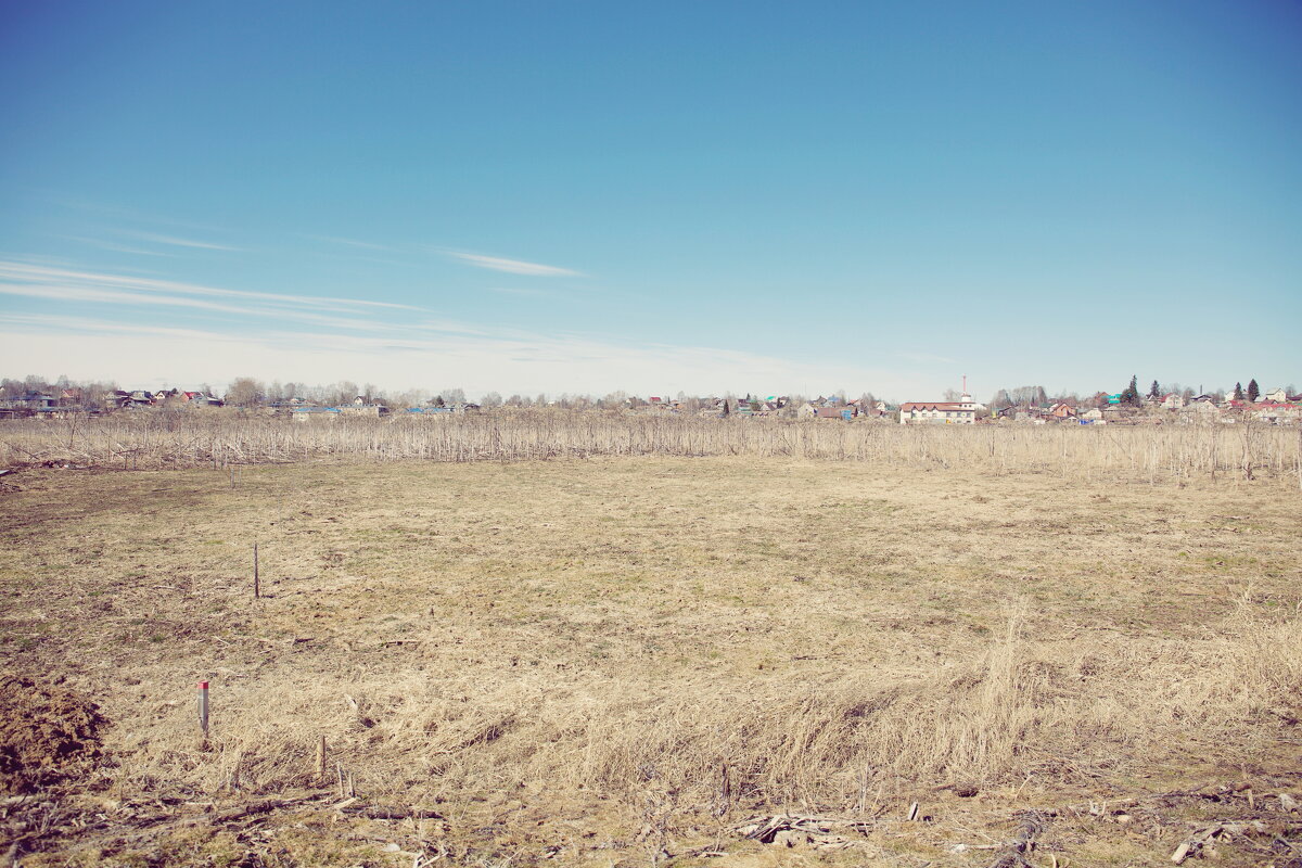 прочее - Денис Безногов