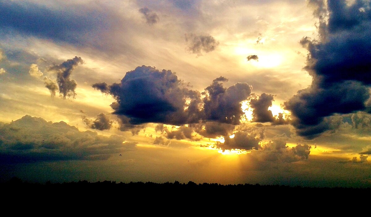 существа на небе - Владимир 