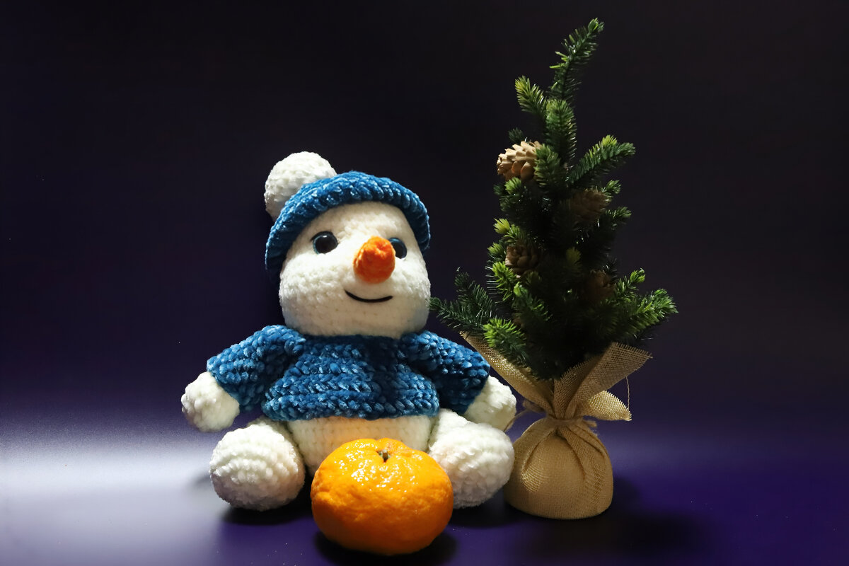 Зимний натюрморт - Татьяна Салиева