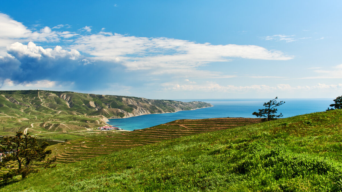 Кимерия - Эдуард Тищенко