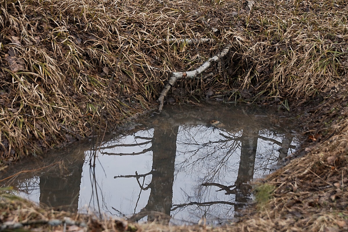 Окошко в небо - Вячеслав. Синицын