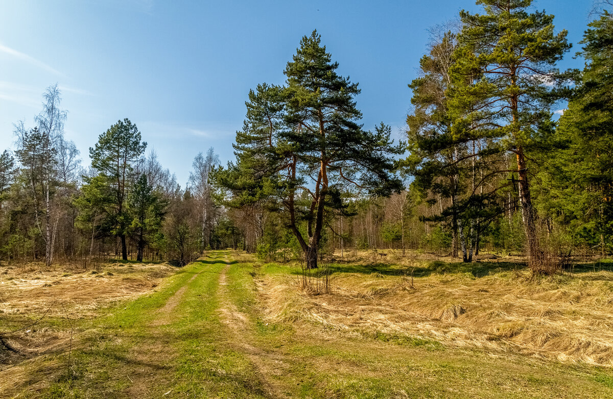 Весна, Весна, Весна ..... - Андрей Дворников