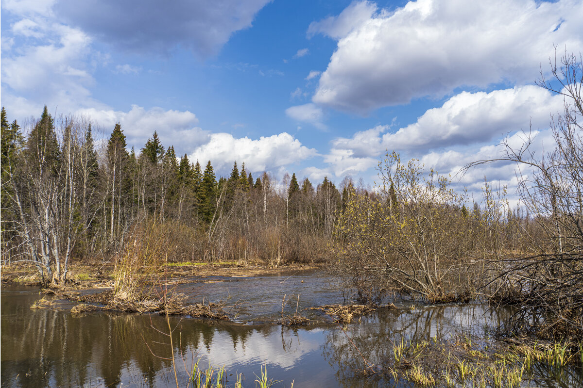 Весенний разлив - Сергей Ц