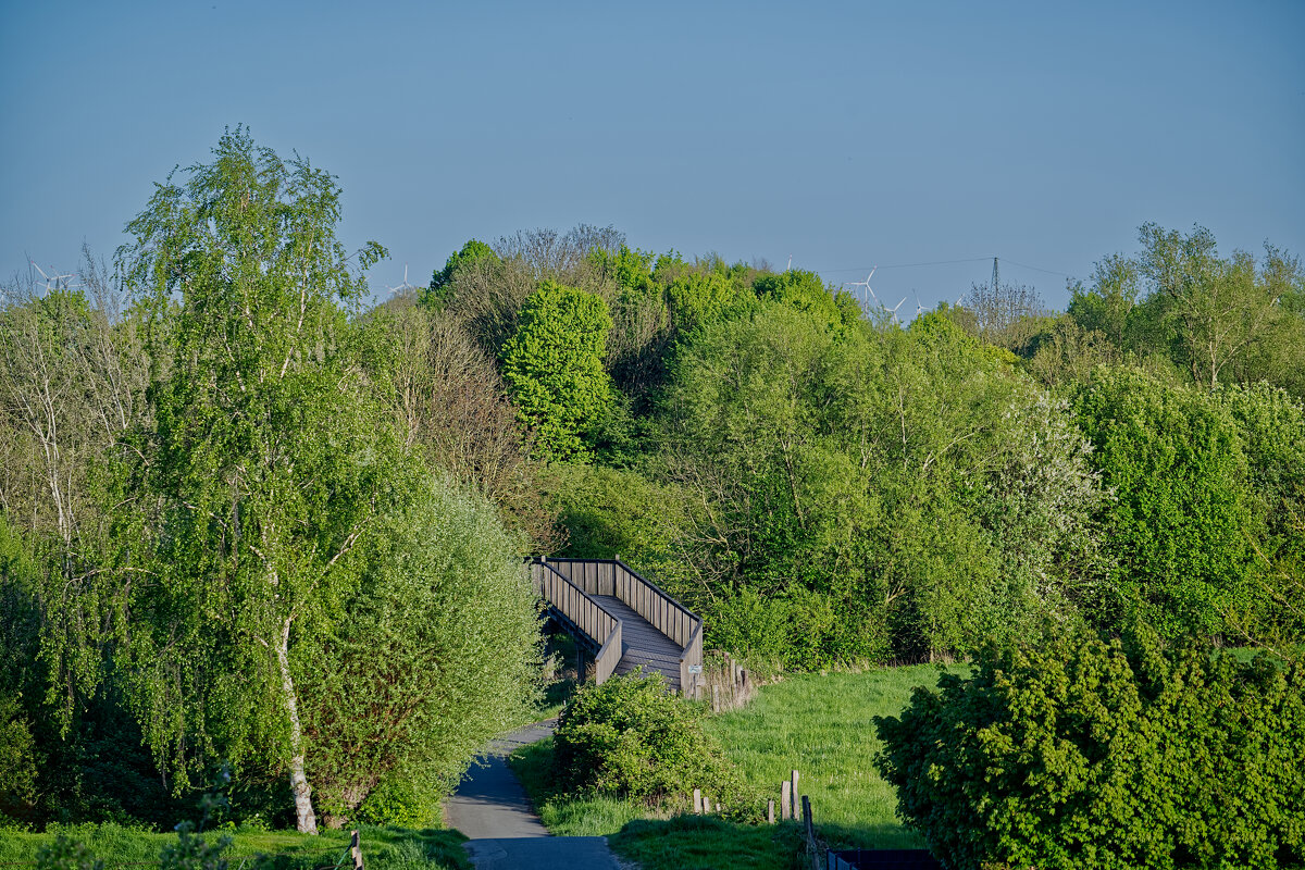 Вечереет ... - Jakob Dick