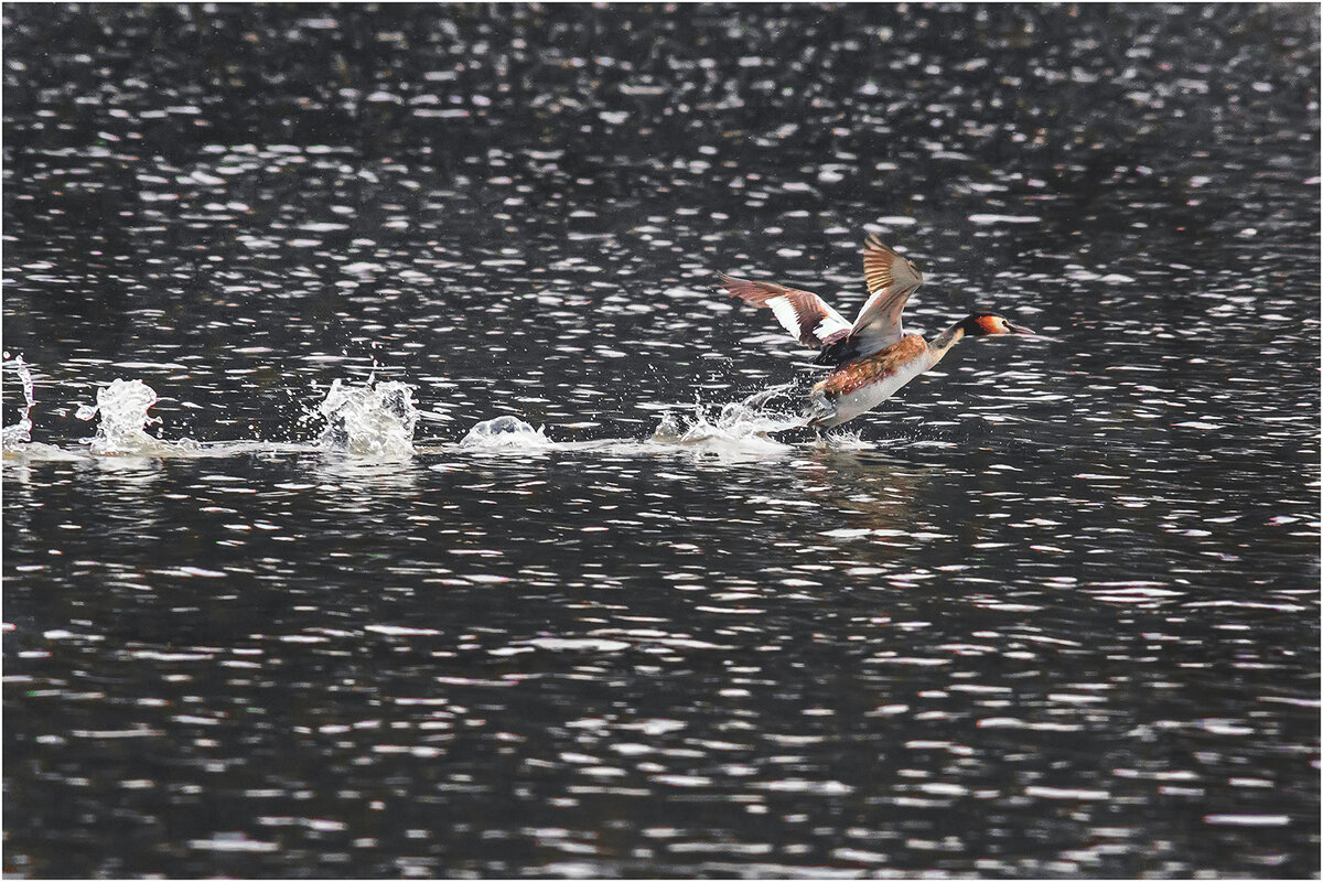 Разбег - Валентин Котляров