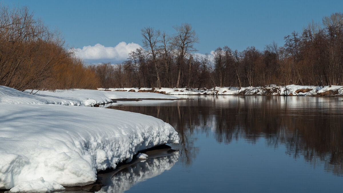 ... - Жора Житников