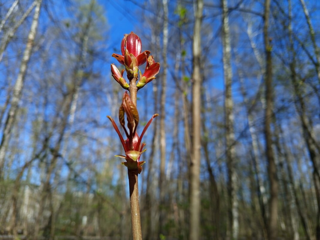 Приметы апреля - Андрей Лукьянов