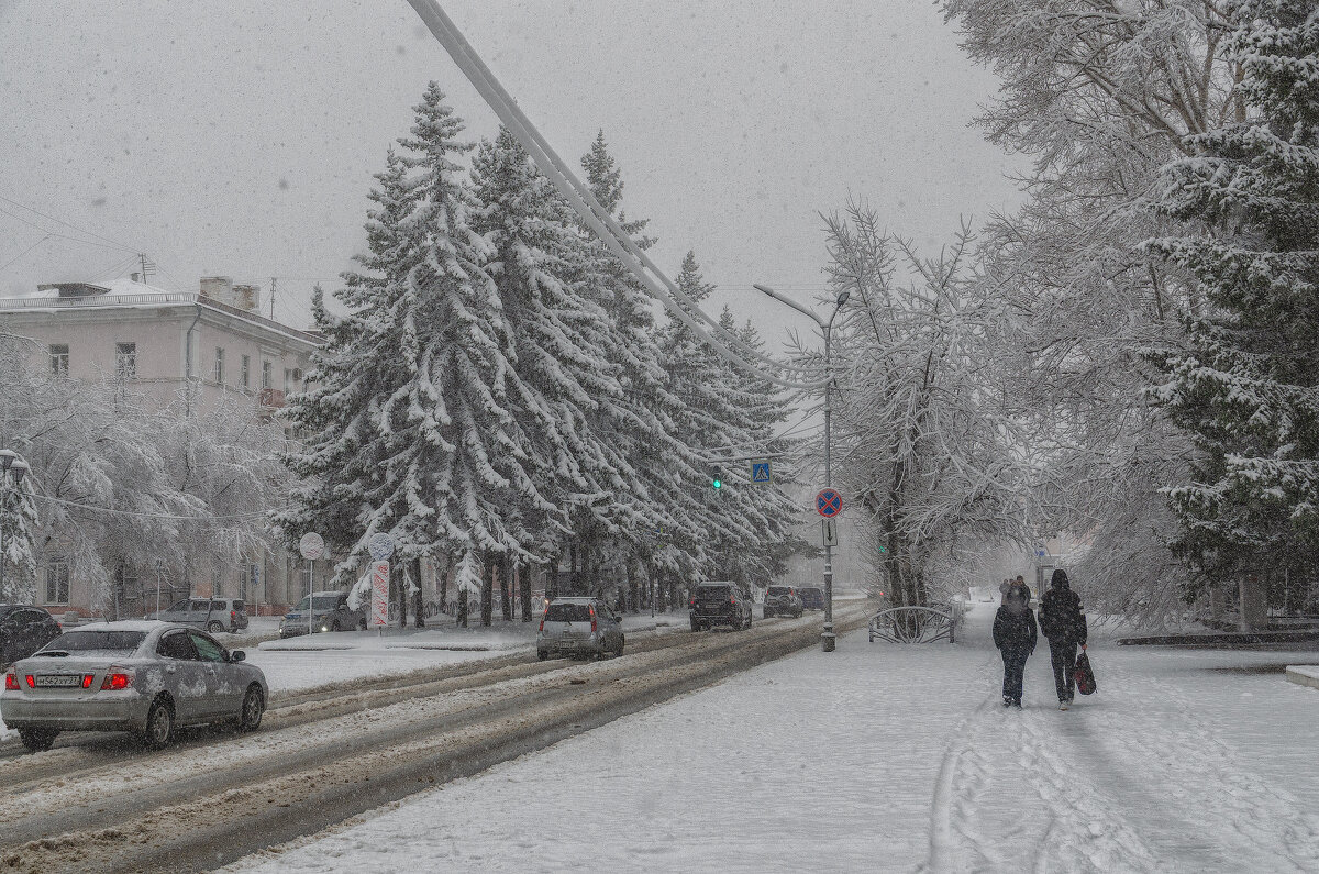 Снежный апрель - Виктор Иванович Чернюк