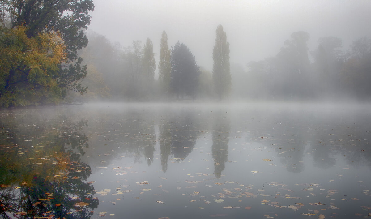**** - Андроник Александр 