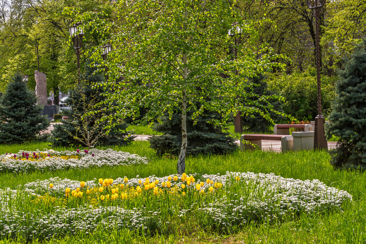 Клумба в парке города Армавир - Игорь Сикорский