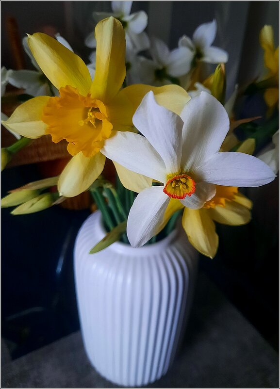 родня - Сеня Белгородский