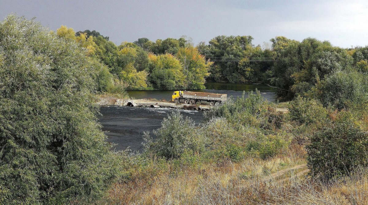 У Дона - ZNatasha -