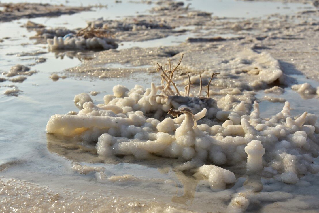по солёным берегам - Осень 
