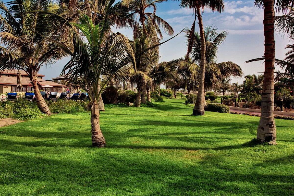 UAE 58 - Arturs Ancans