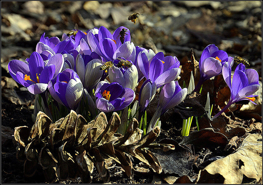 Идет работа - Aleksandr Gal