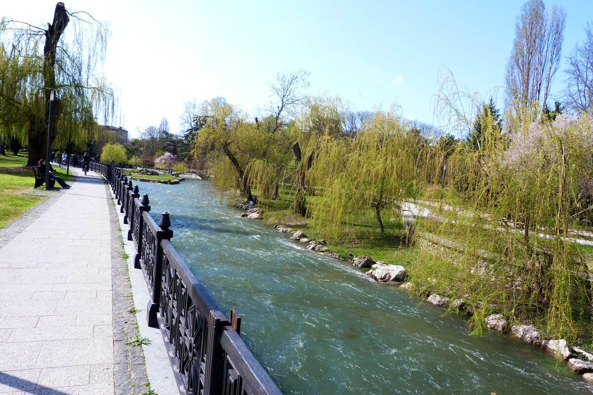Пезажи  Гагаринского  парка - Валентин Семчишин
