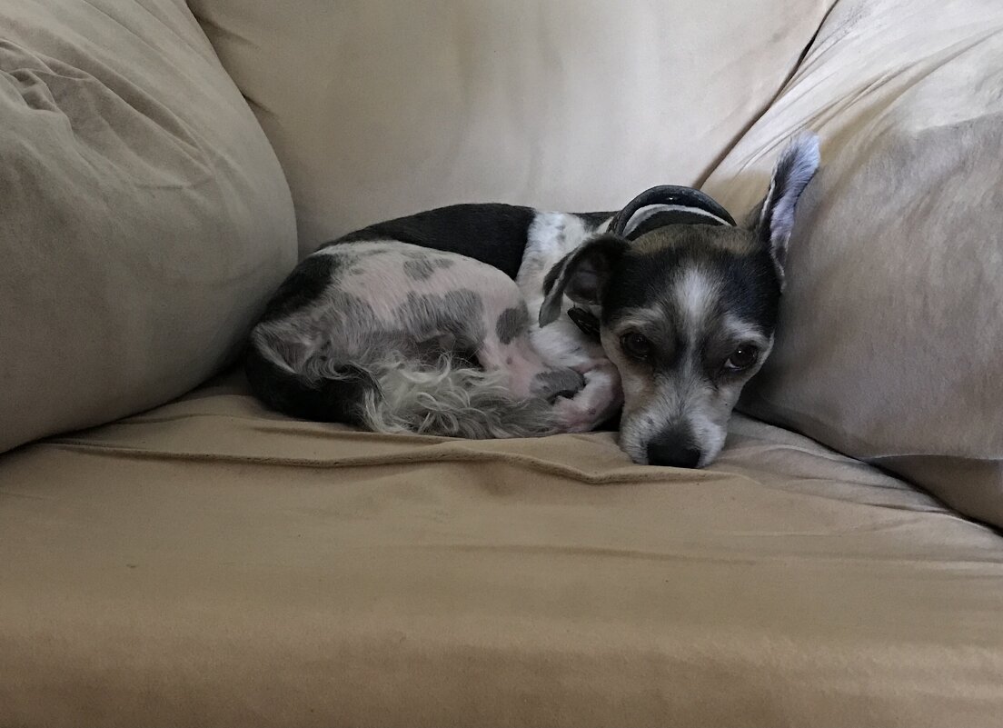 Скучаю… - Любовь 