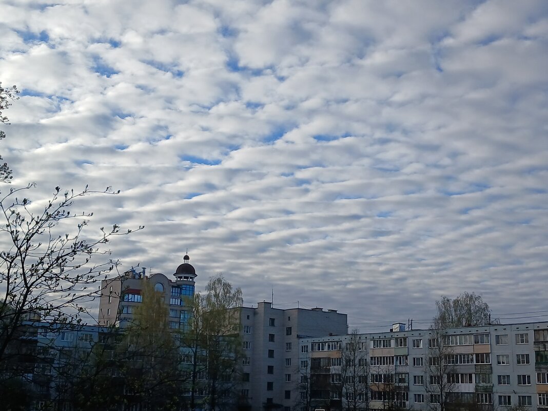 Небо - BoxerMak Mak