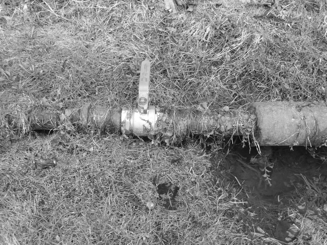 Мечты о ч/б Лейке 111. - Михаил Елочкин