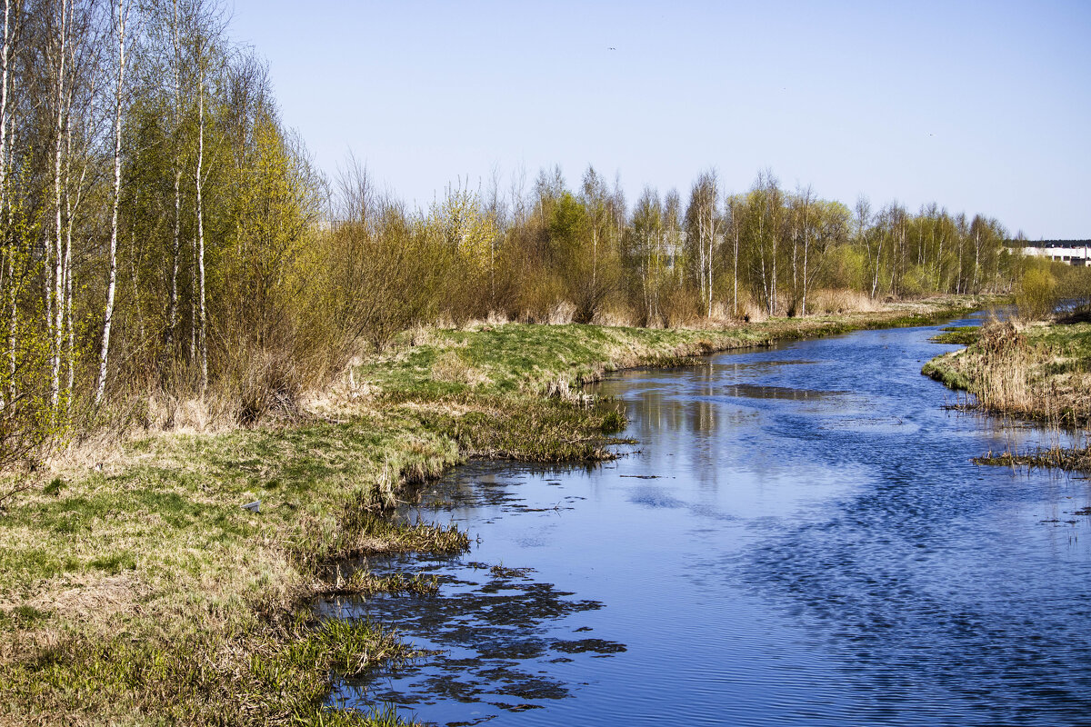 Речушка. - Николай 