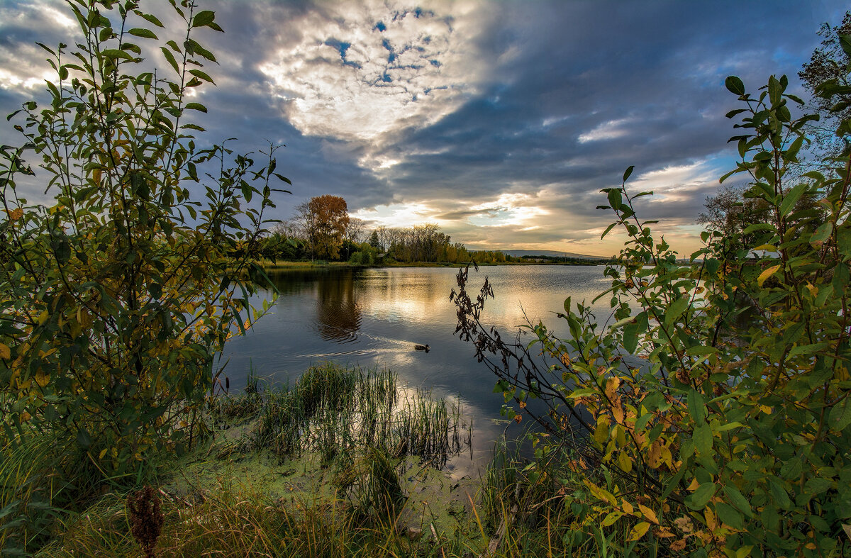 Вечер на озере - Vladimbormotov 