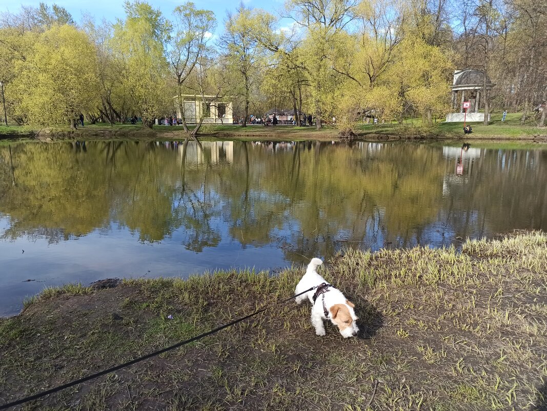 Приметы весны - Галина 