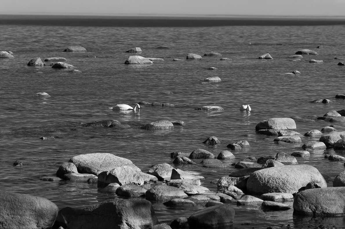 *** - Геннадий Порохов