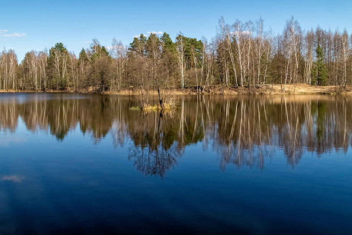 Весна, Весна, Весна  2. - Андрей Дворников
