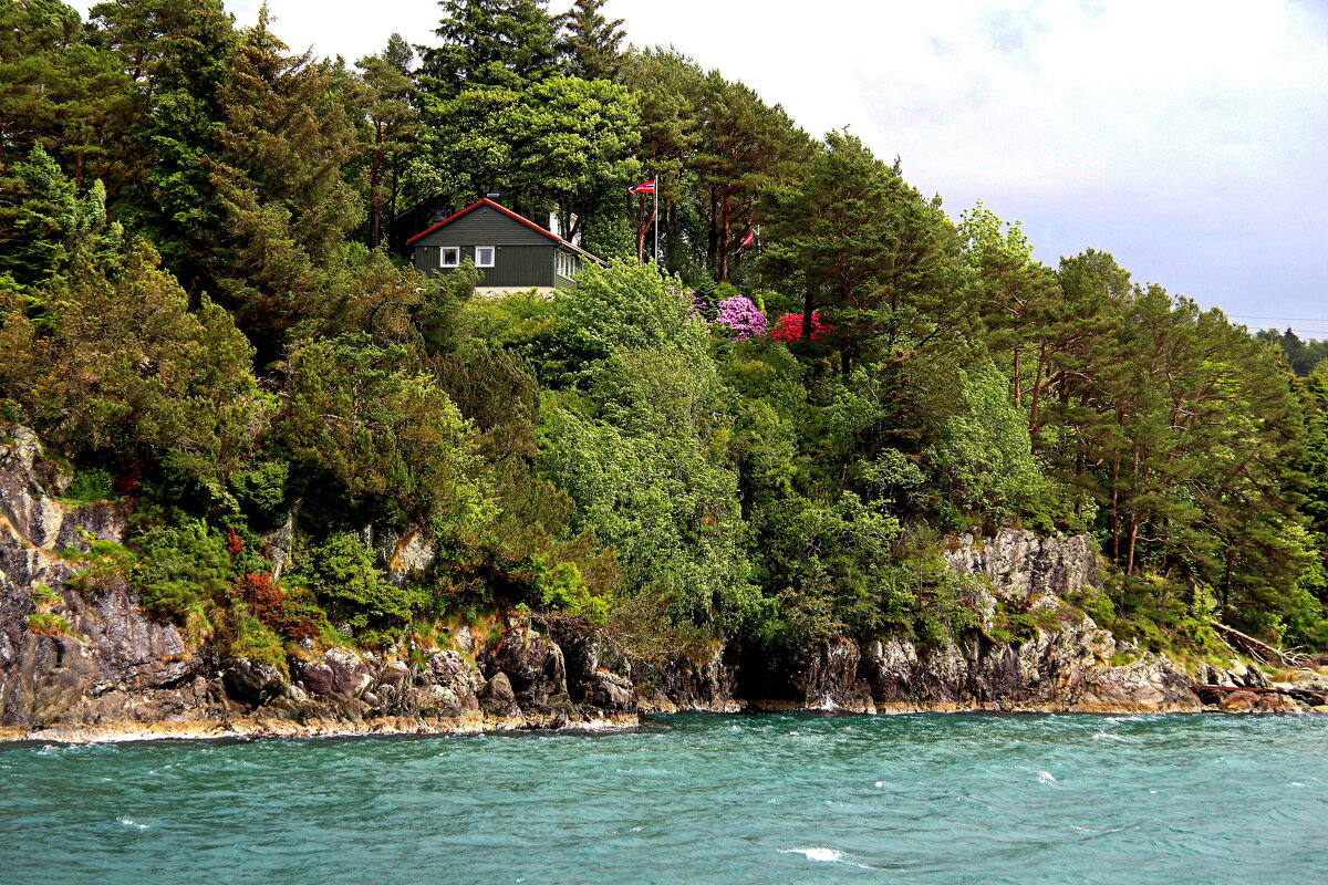 Жизнь на скалах - В.И 