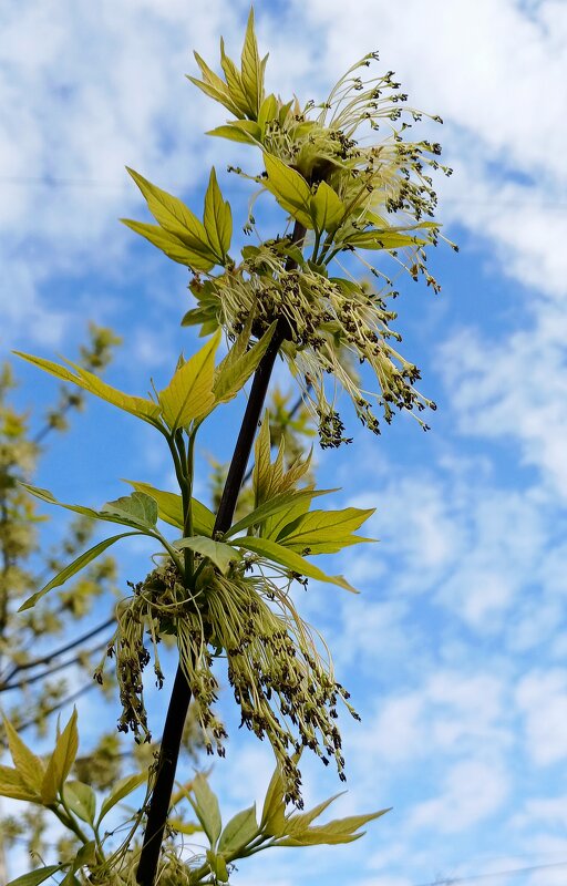 Апрель - Наталья Герасимова
