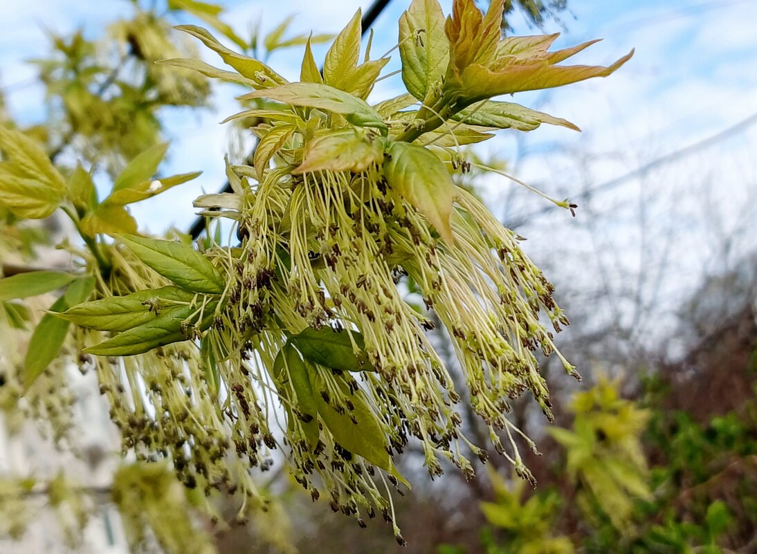 Апрель - Наталья Герасимова