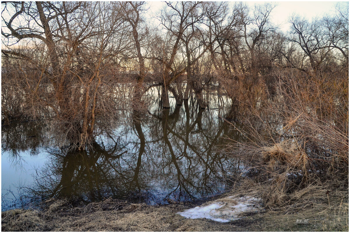 Весенние отражения. - Михаил К