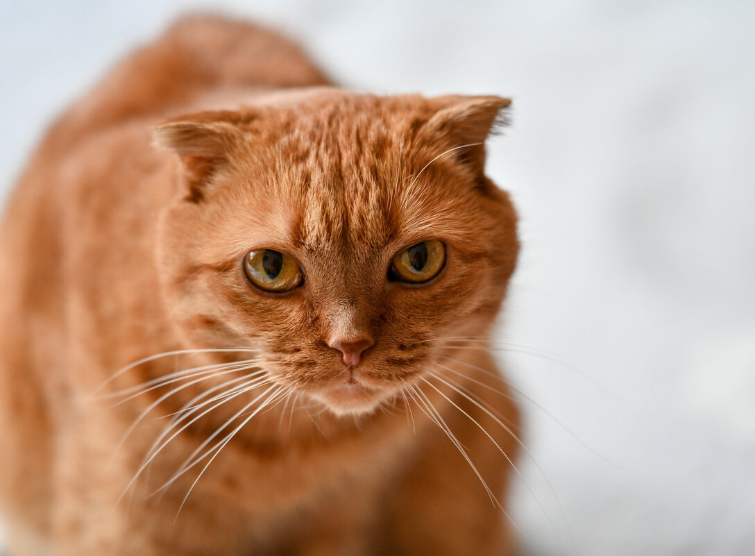 Чита - Вадим 