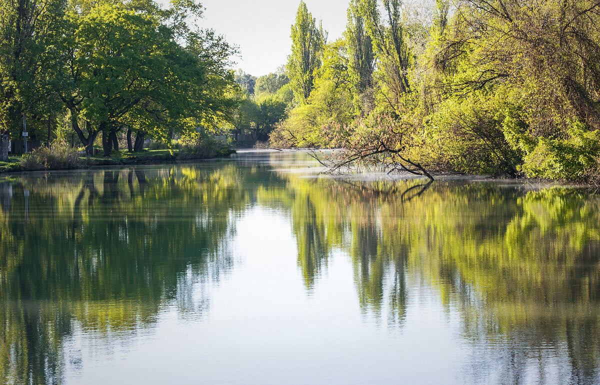 *** - Игорь Протасов