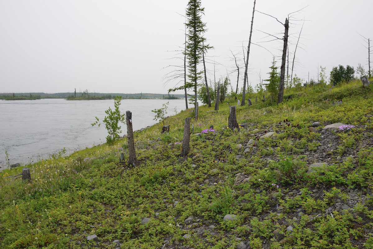 *** - Александр Хаецкий