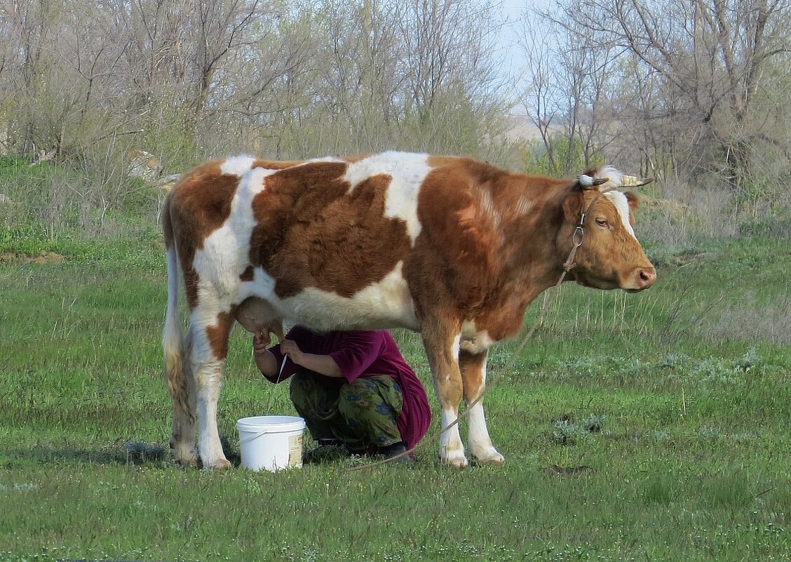 Дела неотложные или .....  каждый при своем деле  ) - Natali 