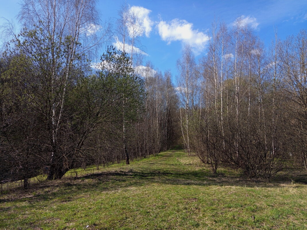 Мои всё ещё апрельские тезисы - Андрей Лукьянов