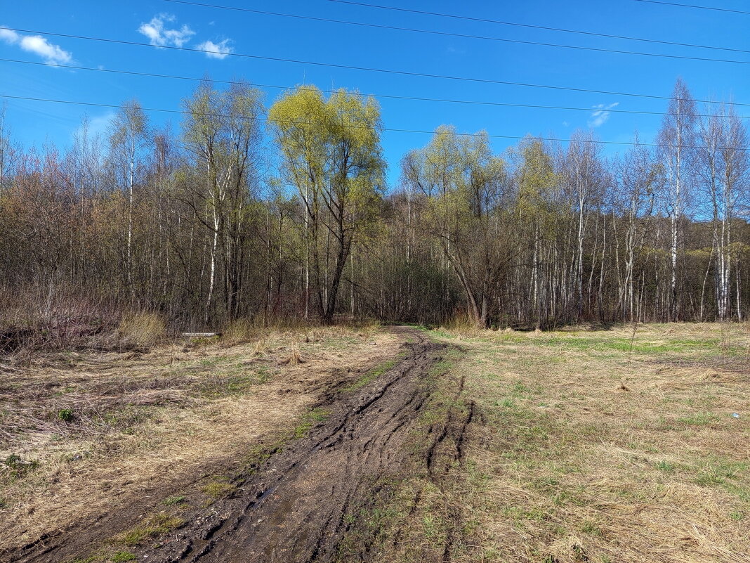 Мои всё ещё апрельские тезисы - Андрей Лукьянов