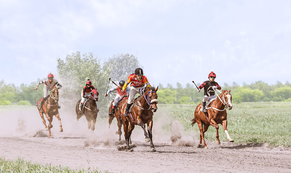 Скачки - SanSan 