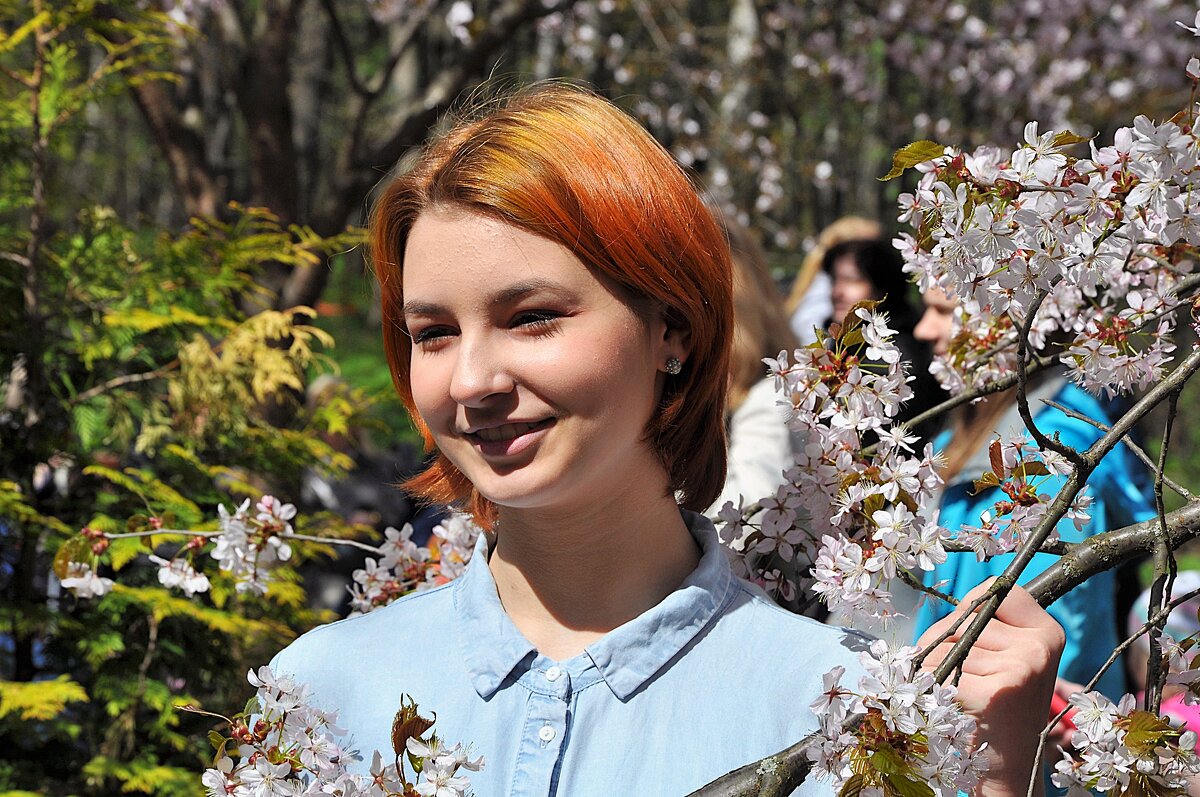 Прелестная девушка с веткой сакуры,,, - Анатолий Колосов