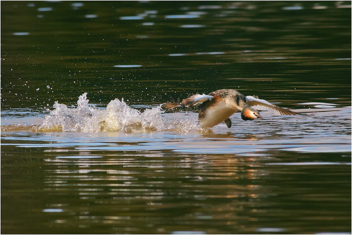 Разбег - Валентин Котляров