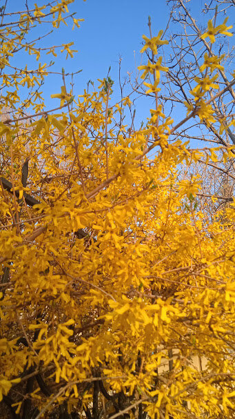 редкие моменты апреля 2026 года - Елена Шаламова