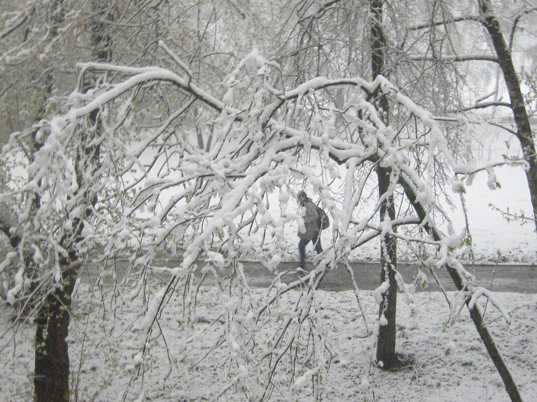 Зима пришла 27 апреля - Елена Семигина