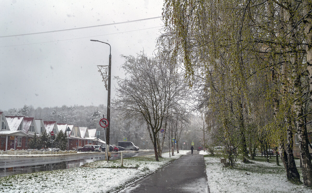 Случился апрельский снегопад - Сергей Цветков